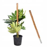 PALIK KOKOSOWY TYCZKA PODPORA DO ROŚLIN 80cm L Kokos