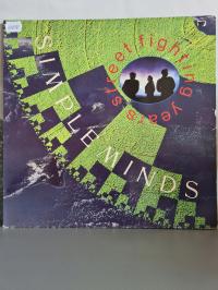 Simple Minds – Street Fighting Years 1989
