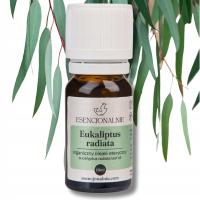 Eukaliptus radiata - Organiczny olejek eteryczny - 100% naturalny