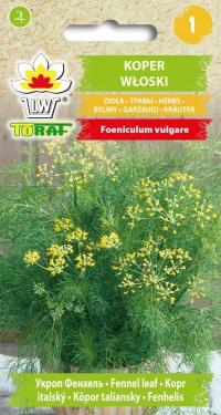 Koper włoski wieloletni nasiona TORAF