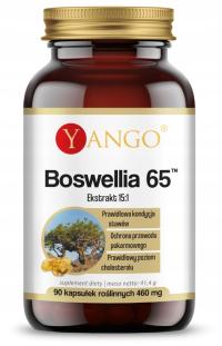 Boswellia 65 - 90 kapsułek