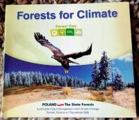 POLAND: Forest for Climate 100 PC / licencja wieczysta BOX