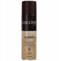 COCCINE RAVVIVANT SPRAY ZAMSZ NUBUK 02 CZARNY