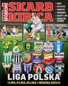 Skarb Kibica Przegląd I, II i III liga wiosna 2014