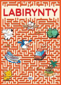 Labirynty Aktywizująca KSIĄŻKA Fajna EDUKACYJNA KSIĄŻECZKA Dla Dzieci 8 Lat