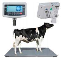 Электронный скотоводческий вес 1. 5КС2М ВВ 3Т 0.5 кг платформы скотовода