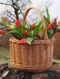 Kosz na zakupy wiklinowy koszyk na grzyby, owoce, warzywa Boler