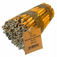 TRZCINA rurki trzcinowe 25 cm pszczola murarka ogrodowa