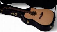 Takamine ETN10C, Япония, 2009 год, Электроакустика