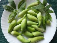 Nasiona ziół Cyklantera pedata Caigua dziki ogórek nasiona 10szt ***