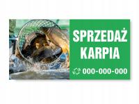 Baner, Plandeka, SPRZEDAŻ KARPIA, KARP 200x100 cm, 2mx1m