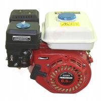 Двигатель DOLPIMA G196 6,5 л. с. Вал 19 мм 3/4 