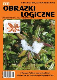 Obrazki logiczne nr 225