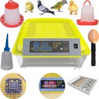 Инкубатор КЛУДЕР инкубатор яйца инкубатор птицы 54 j