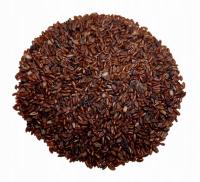 Подорожник ланцетный - семена-10г