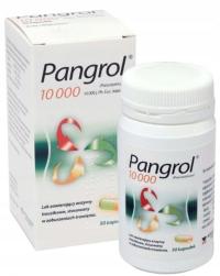 Pangrol 10 000 len enzymy trawienne 50 kapsułek