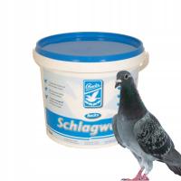 Backs Schlagweiss 5L - Niezbędny dla czystości i higieny w gołębniku