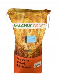 Pszenica jara ARABELLA C1 25 kg – kwalifikowany materiał siewny 2025