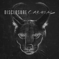 Caracal Disclosure CD