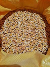 Кукурузное зерно, корм, корм 25 кг