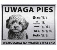 Tabliczka 20x15 UWAGA PIES wchodzisz na własne ryzyko kurier | Bichon