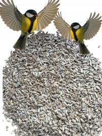 ПОДСОЛНЕЧНИК ОЧИЩЕННЫЙ II GAT 5 КГ КОРМ ДЛЯ КОРМУШЕК ДЛЯ ДИКИХ ПТИЦ БЕСПЛАТНО