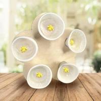 Kubek do picia dla pszczół i owadów w pięciu kolorach ogrodu tarasu BIAŁY