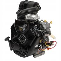 Briggs & Stratton Silnik