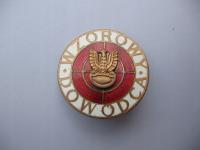 WZOROWY DOWÓDCA stara ODZNAKA