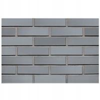 CEGŁA KLINKIEROWA PERFOROWANA LODE SOTIS RF 250x120x65 MM