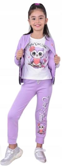 3-CZ спортивный костюм для девочек толстовка на молнии леггинсы блузка комплект сова 98/104 H2