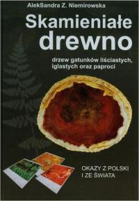 Skamieniałe drewno drzew gatunków liściastych - A.Z.Niemirowska