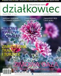 DZIAŁKOWIEC 1 / 2026