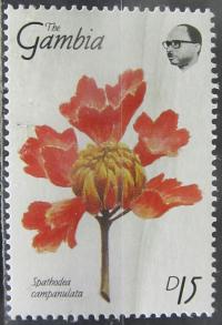 Gambia stary znaczek (6/11