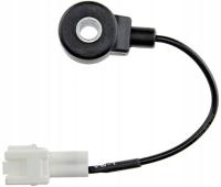 NTY ESS-SB-001 Czujnik spalania stukowego