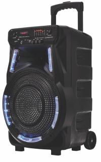 Громкоговоритель Power Audio Manta SPK 5033 40W karaoke