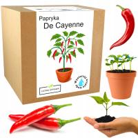 Набор для Выращивания перец De Cayenne перца
