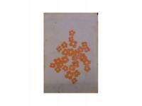 Kuchnia Polska - K, Janik St, Berger i inni