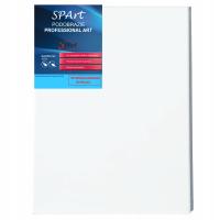 PŁÓTNO PODOBRAZIE MALARSKIE PROFESSIONAL ART BAWEŁNIANE 80x120