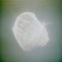 Benoit Pioulard - Temper *CD