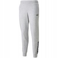 Spodnie damskie Puma Power Pants FL szare XL