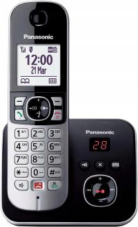 Беспроводной телефон Panasonic KX-TG6861GS
