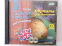 Słownik obrazkowy języka angielskiego