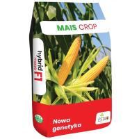 Nasiona Kukurydzy Camaro 80tys Fao 240-250 z Kukurydza