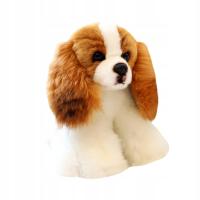 Pluszowa Zabawka Dla Psa Przytulanka Pluszowa Zabawka Dekoracja Sypialni Śliczna Miękka Ozdoba Prezent