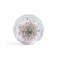 Flowernesski - Pastelowo różowe suszone kwiaty