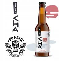 Kombucha Świeża Malina Napój Herbaciany 10x 330ml AleBrowar