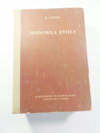 Hodowla bydła Liskun
