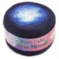 Пряжа Opus Nature Wool Cake 50017 омбре затененная шерсть 4 нити 700 м