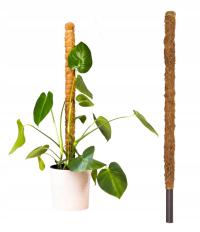 Кокосовый кол Полюс поддержка растений 80 см